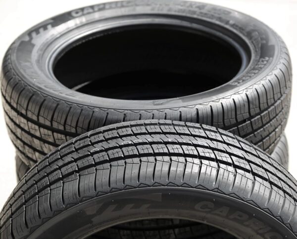 Evoluxx Capricorn 4X4 HP All-Season Truck/SUV Performance Radial Tire-235/55R18 235/55/18 235/55-18 104V Load Range XL 4-Ply BSW UTQG 480AA - Image 2