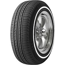 Forceum Ecosa 195/65R15 91H (WSW)